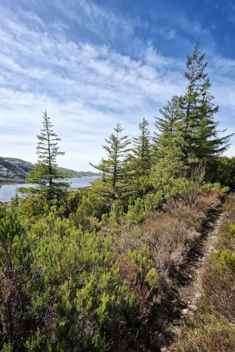 Lagoas da Estrela - Lagoa Comprida