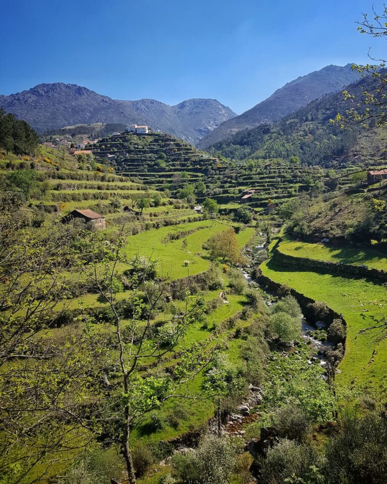 Loop de Loriga - paisagem de socalcos