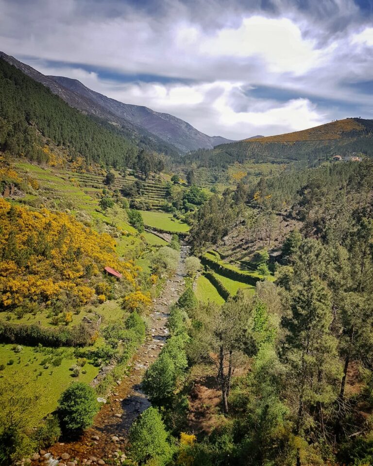 Paisagem de socalcos no Loop de Loriga